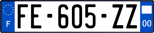 FE-605-ZZ