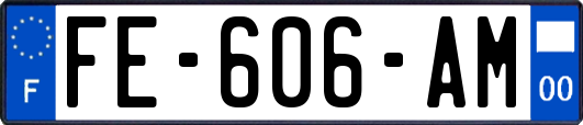 FE-606-AM