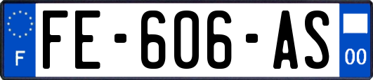 FE-606-AS