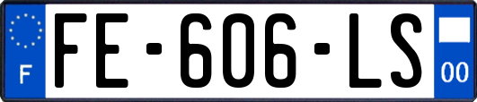 FE-606-LS