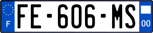 FE-606-MS
