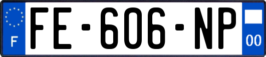 FE-606-NP