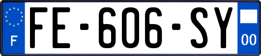 FE-606-SY