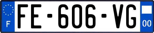 FE-606-VG