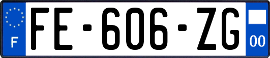 FE-606-ZG