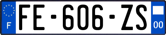 FE-606-ZS