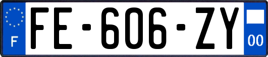 FE-606-ZY