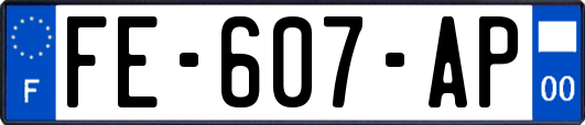 FE-607-AP