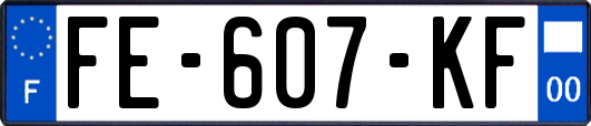 FE-607-KF