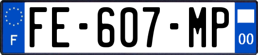 FE-607-MP