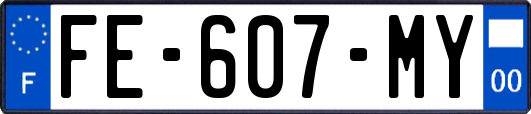 FE-607-MY