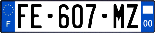 FE-607-MZ