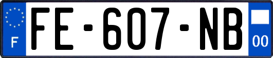 FE-607-NB