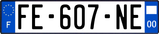 FE-607-NE