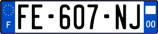 FE-607-NJ