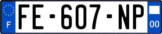 FE-607-NP