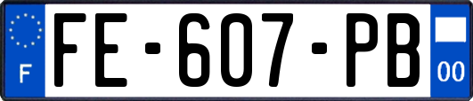 FE-607-PB