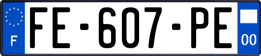 FE-607-PE