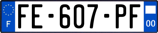 FE-607-PF