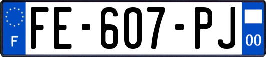 FE-607-PJ