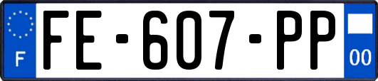 FE-607-PP