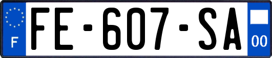 FE-607-SA