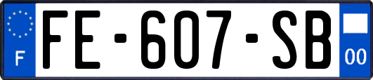 FE-607-SB