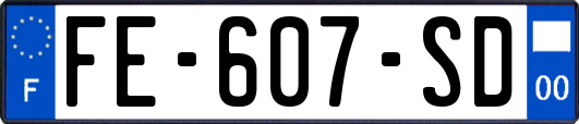 FE-607-SD