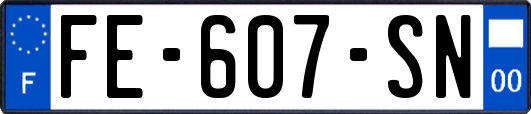 FE-607-SN
