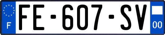 FE-607-SV