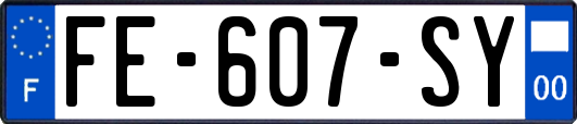 FE-607-SY