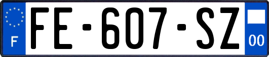 FE-607-SZ