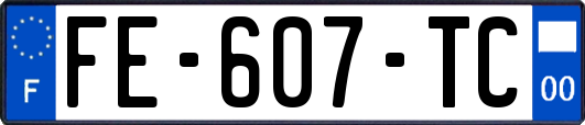 FE-607-TC