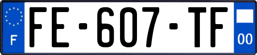 FE-607-TF