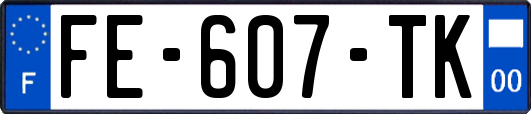 FE-607-TK