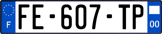 FE-607-TP