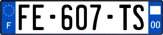 FE-607-TS