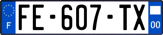 FE-607-TX
