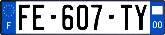 FE-607-TY