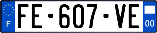 FE-607-VE