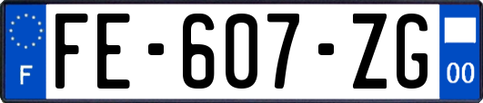 FE-607-ZG