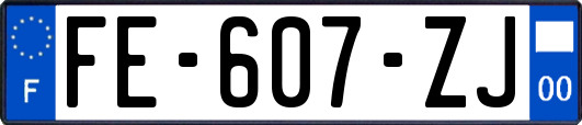 FE-607-ZJ