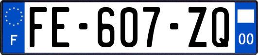 FE-607-ZQ