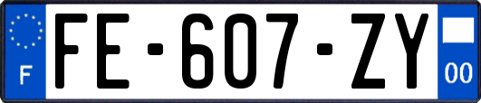 FE-607-ZY