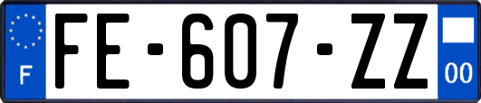 FE-607-ZZ