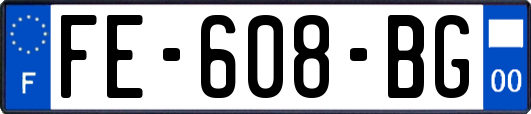 FE-608-BG