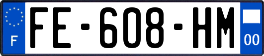 FE-608-HM