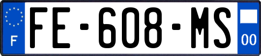 FE-608-MS