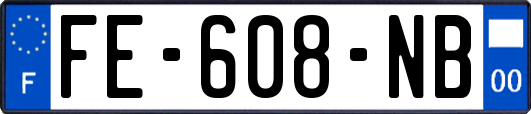 FE-608-NB