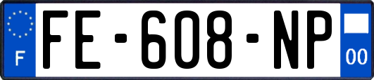 FE-608-NP